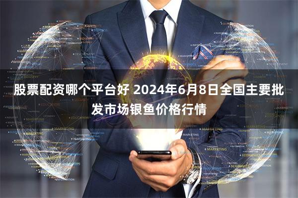 股票配资哪个平台好 2024年6月8日全国主要批发市场银鱼价格行情