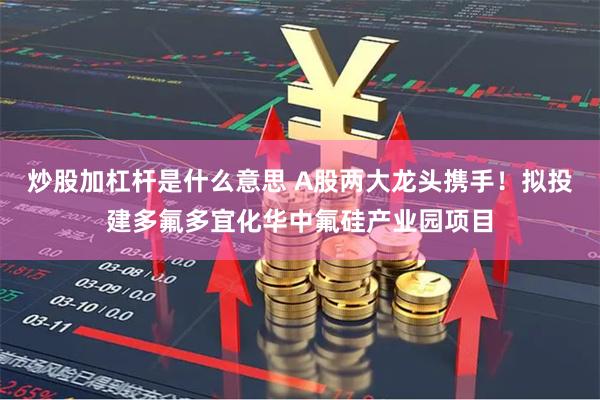 炒股加杠杆是什么意思 A股两大龙头携手！拟投建多氟多宜化华中氟硅产业园项目