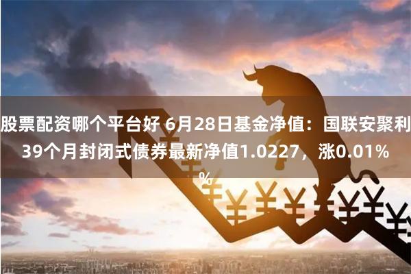 股票配资哪个平台好 6月28日基金净值：国联安聚利39个月封闭式债券最新净值1.0227，涨0.01%