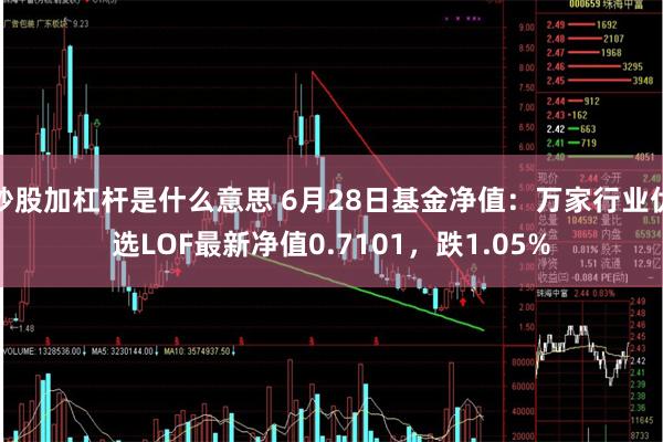 炒股加杠杆是什么意思 6月28日基金净值：万家行业优选LOF最新净值0.7101，跌1.05%