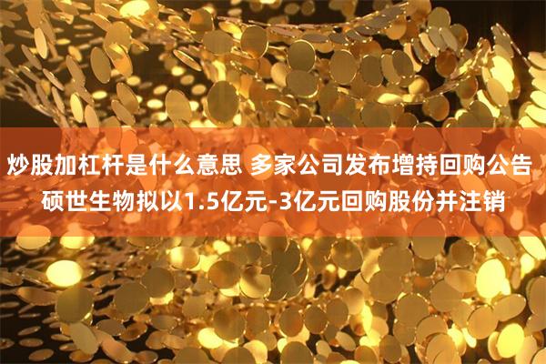 炒股加杠杆是什么意思 多家公司发布增持回购公告 硕世生物拟以1.5亿元-3亿元回购股份并注销
