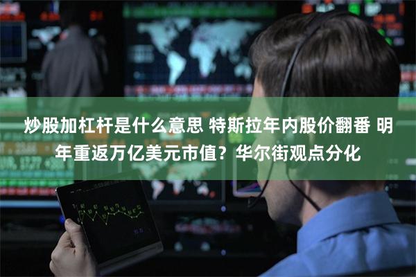 炒股加杠杆是什么意思 特斯拉年内股价翻番 明年重返万亿美元市值？华尔街观点分化
