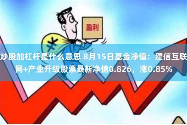 炒股加杠杆是什么意思 8月15日基金净值：建信互联网+产业升级股票最新净值0.826，涨0.85%
