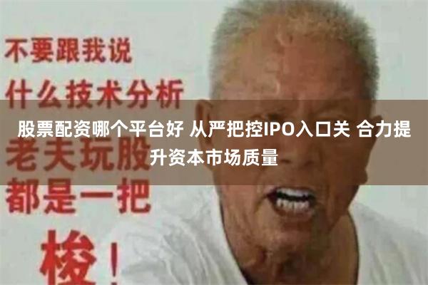 股票配资哪个平台好 从严把控IPO入口关 合力提升资本市场质量