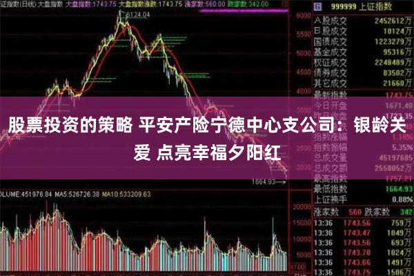 股票投资的策略 平安产险宁德中心支公司：银龄关爱 点亮幸福夕阳红