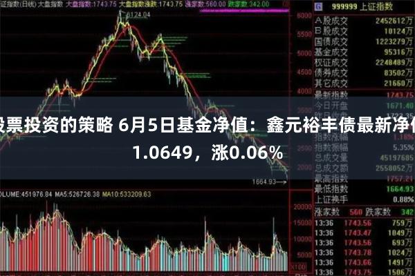 股票投资的策略 6月5日基金净值：鑫元裕丰债最新净值1.0649，涨0.06%