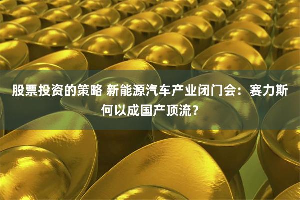 股票投资的策略 新能源汽车产业闭门会：赛力斯何以成国产顶流？