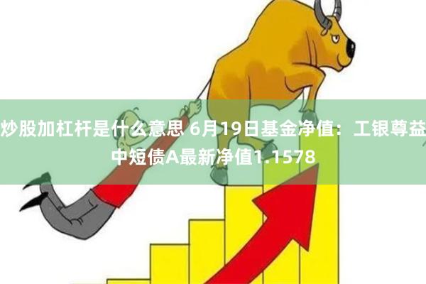 炒股加杠杆是什么意思 6月19日基金净值：工银尊益中短债A最新净值1.1578
