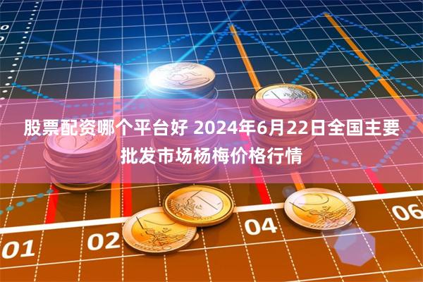 股票配资哪个平台好 2024年6月22日全国主要批发市场杨梅价格行情