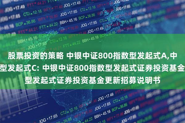 股票投资的策略 中银中证800指数型发起式A,中银中证800指数型发起式C: 中银中证800指数型发起式证券投资基金更新招募说明书