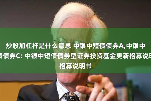 炒股加杠杆是什么意思 中银中短债债券A,中银中短债债券C: 中银中短债债券型证券投资基金更新招募说明书