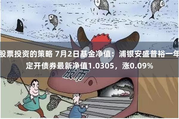 股票投资的策略 7月2日基金净值：浦银安盛普裕一年定开债券最新净值1.0305，涨0.09%