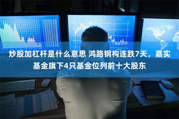 炒股加杠杆是什么意思 鸿路钢构连跌7天，嘉实基金旗下4只基金位列前十大股东