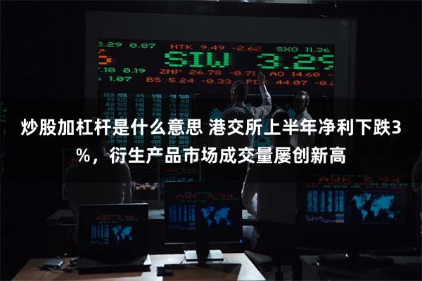 炒股加杠杆是什么意思 港交所上半年净利下跌3%，衍生产品市场成交量屡创新高