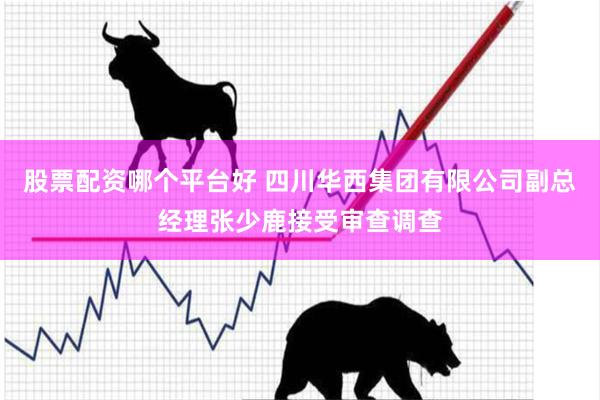 股票配资哪个平台好 四川华西集团有限公司副总经理张少鹿接受审查调查