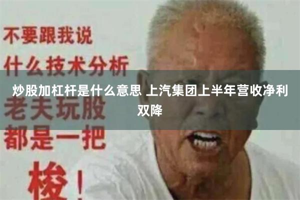 炒股加杠杆是什么意思 上汽集团上半年营收净利双降