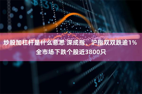 炒股加杠杆是什么意思 深成指、沪指双双跌逾1% 全市场下跌个股近3800只