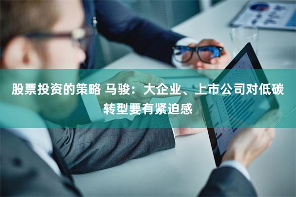 股票投资的策略 马骏：大企业、上市公司对低碳转型要有紧迫感