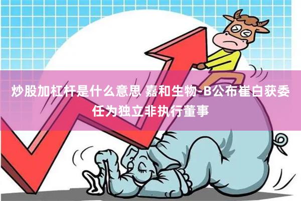 炒股加杠杆是什么意思 嘉和生物-B公布崔白获委任为独立非执行董事