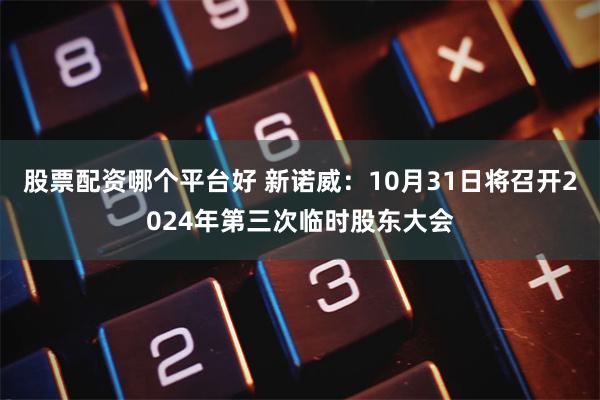 股票配资哪个平台好 新诺威：10月31日将召开2024年第三次临时股东大会