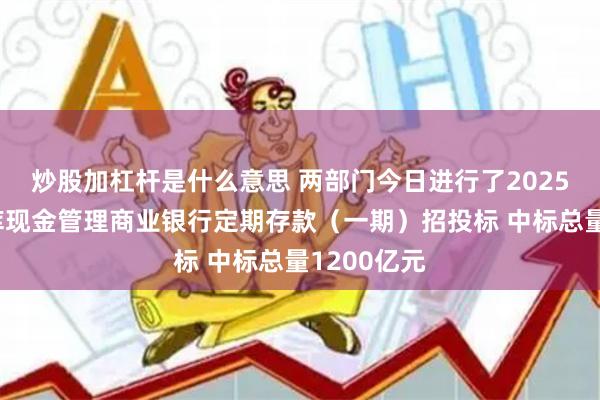 炒股加杠杆是什么意思 两部门今日进行了2025年中央国库现金管理商业银行定期存款（一期）招投标 中标总量1200亿元
